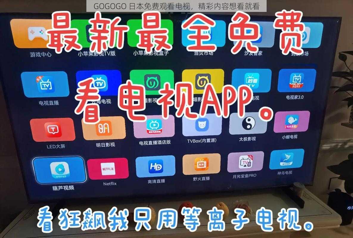 GOGOGO 日本免费观看电视,精彩内容想看就看