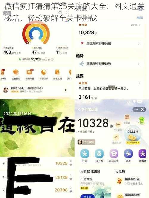 微信疯狂猜猜第65关攻略大全:图文通关秘籍,轻松破解全关卡挑战