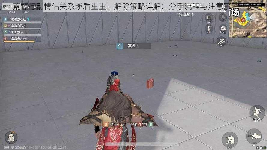 荒野行动情侣关系矛盾重重,解除策略详解:分手流程与注意事项一览